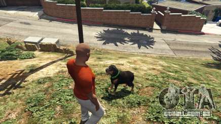 Passear com o cão em GTA 5