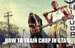 Como treinar o Chop em GTA 5