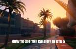 Vistas galeria de GTA 5