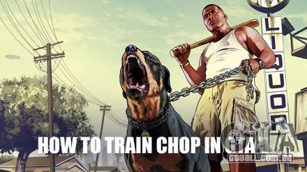 Chop o cão: como treinar e treinar em GTA 5