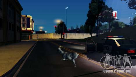 A possibilidade de GTA V para jogar com os anima para GTA San Andreas