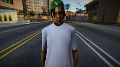 Novo membro da gangue grove street para GTA San Andreas